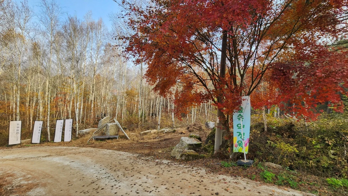 단풍나무 아래 가을 정원