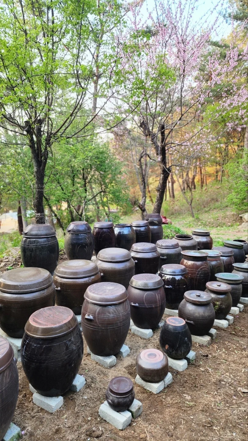 숲속 장독대