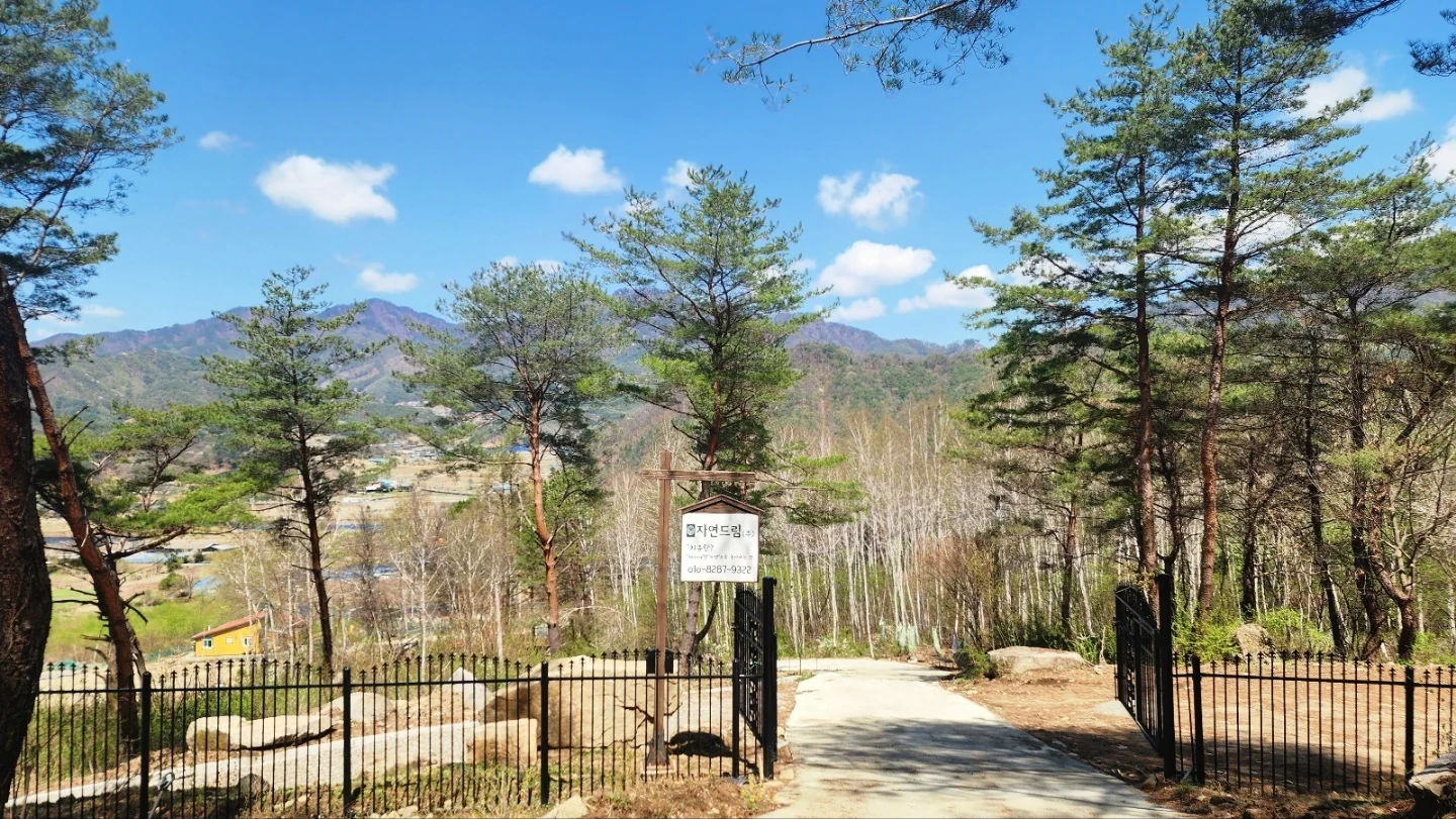정원 입구에서 바라본 숲