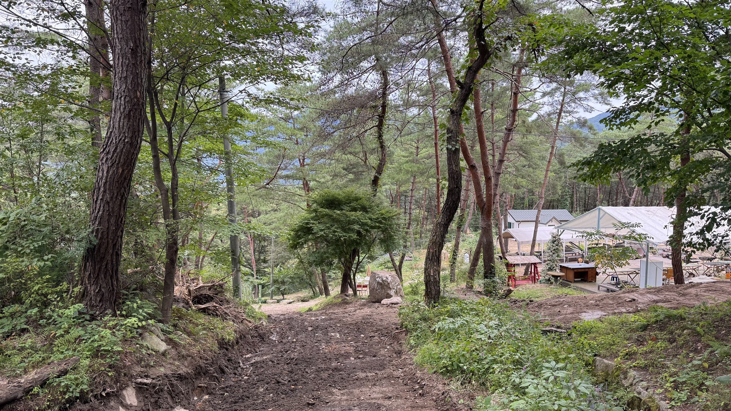 덕탄강산 숲의 쉼터