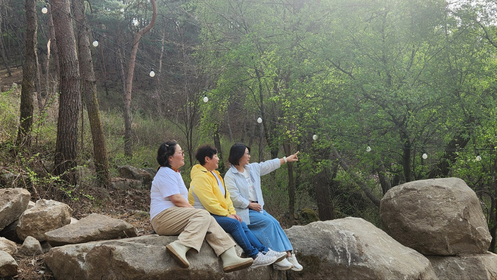 숲치유(야생화) 체험 현장 모습